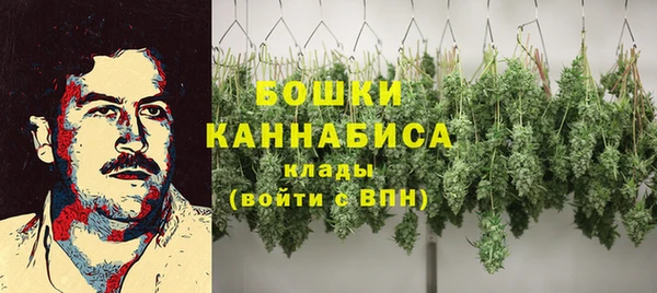 PSILOCYBIN Алексеевка
