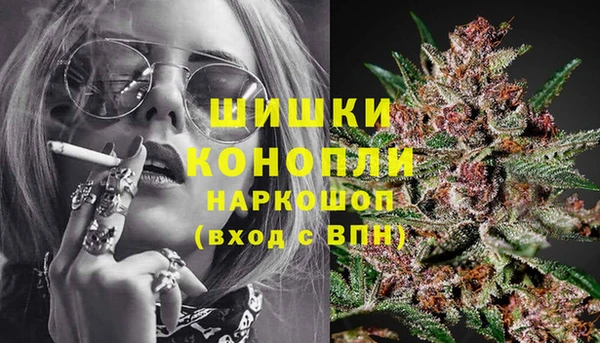 PSILOCYBIN Алзамай
