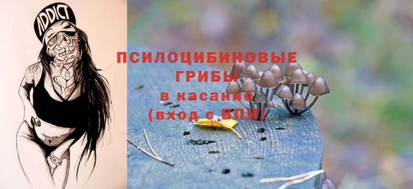 PSILOCYBIN Алексеевка