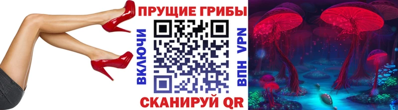 Псилоцибиновые грибы ЛСД Палласовка