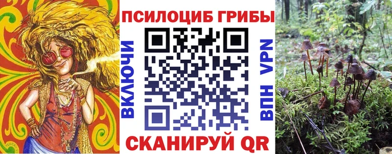 Галлюциногенные грибы мицелий  shop клад  Палласовка 