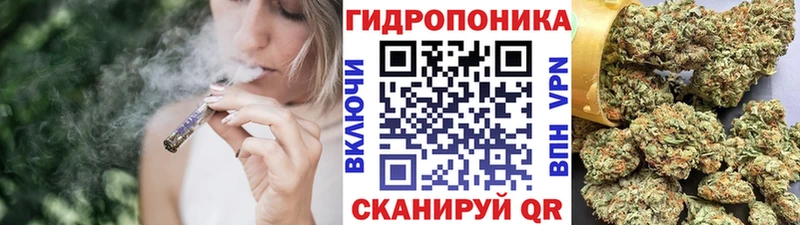 Бошки Шишки White Widow  Палласовка 